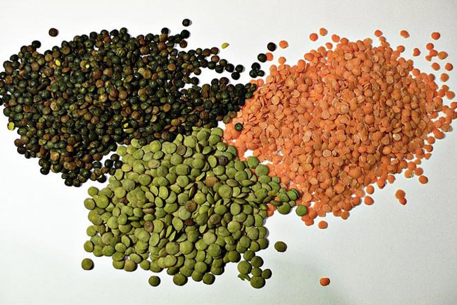 Smooth agri-inputs supply boosts  lentil output in Joypurhat