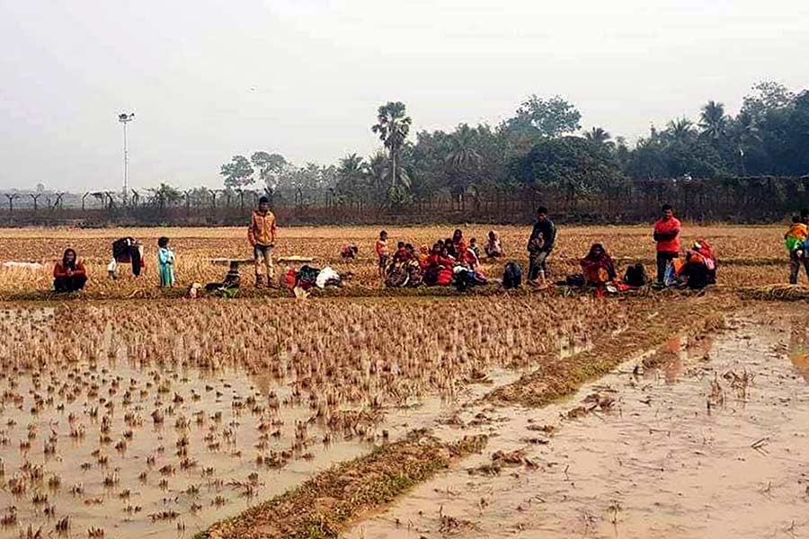 31 Rohingyas ‘taken back’ by BSF from no man’s land