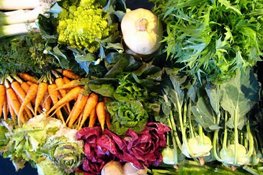 Three-day vegetable fair to begin Thursday