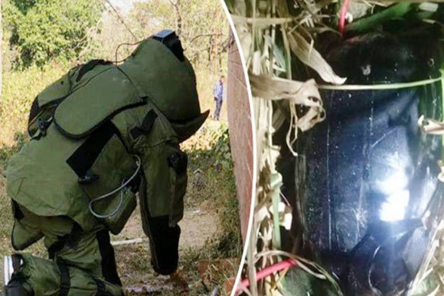 ‘Egg-plant bomb’ scare grips Chittagong University