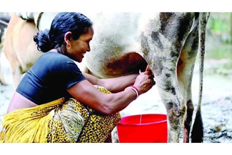 Move underway to promote rural microenterprises involving $190m