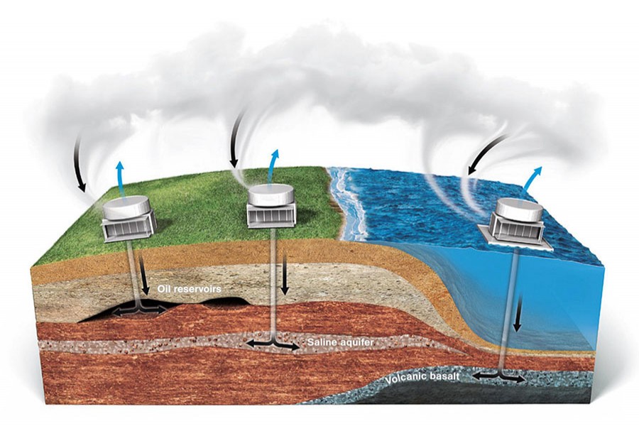 Scientists are also focusing on other methods to capture carbon dioxide. Photo: National Geographic