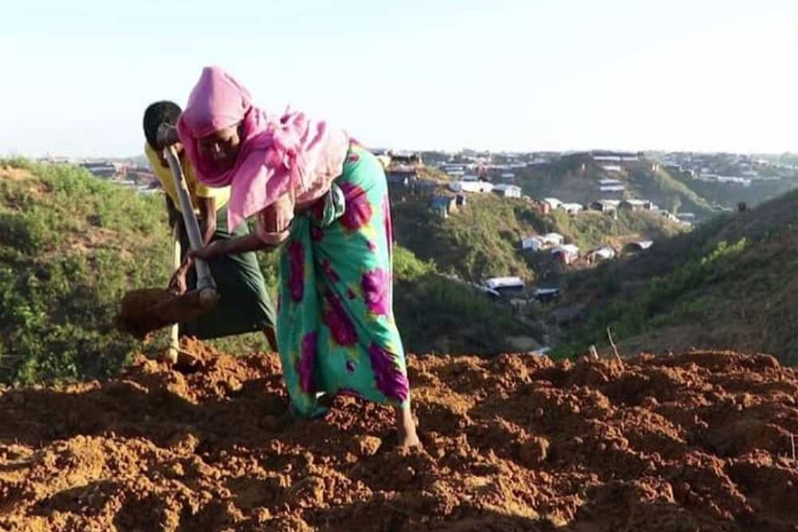 Future of Rohingyas lies in their dignified return: UNHCR
