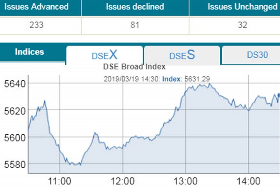 Stocks rebound, turnover remains low