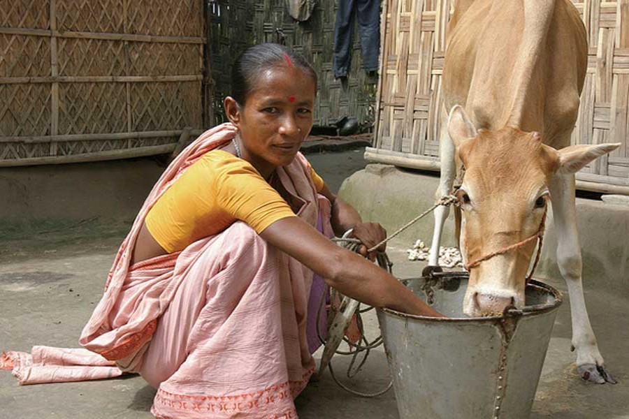 Labour-leisure trade-off in rural Bangladesh