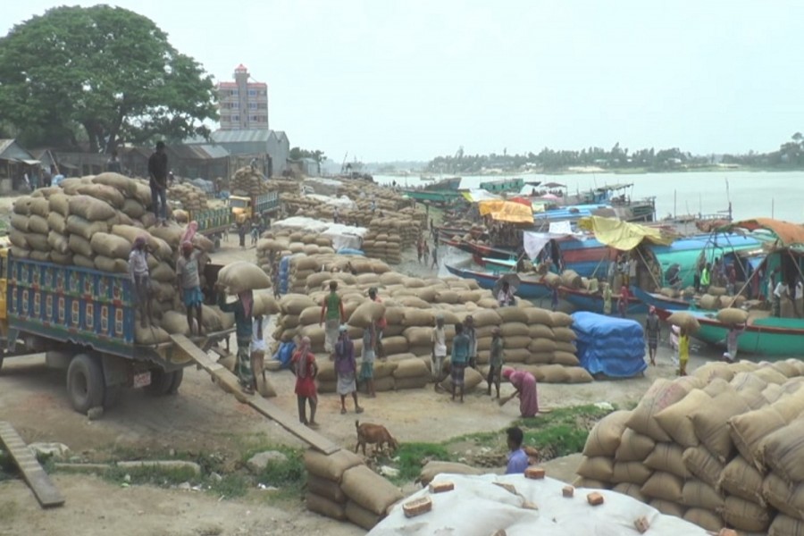 B’baria farmers hit by fall in rice prices