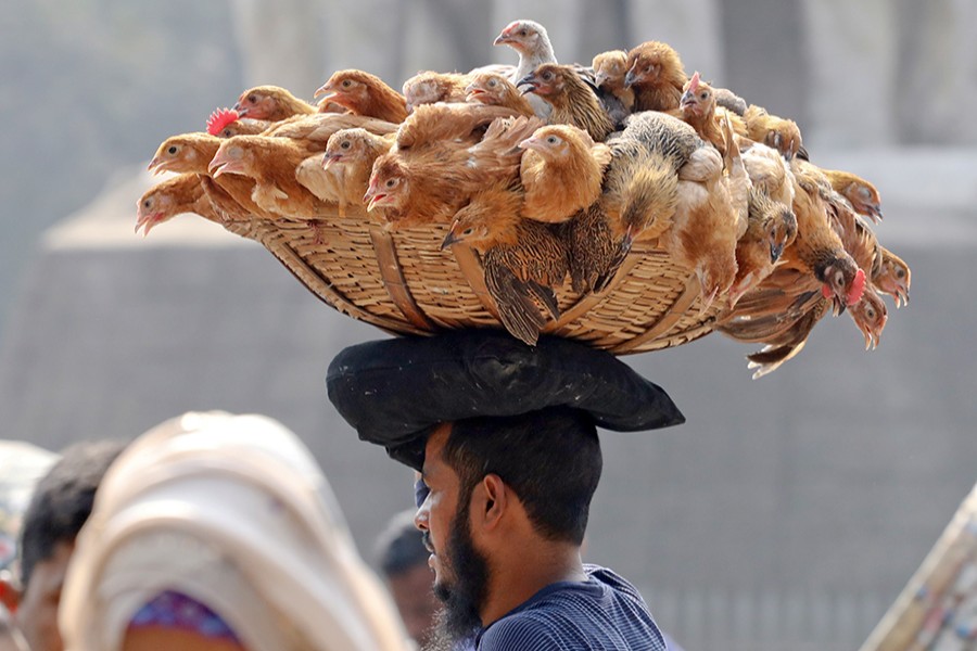 Chicken, lentil become pricier ahead of Eid