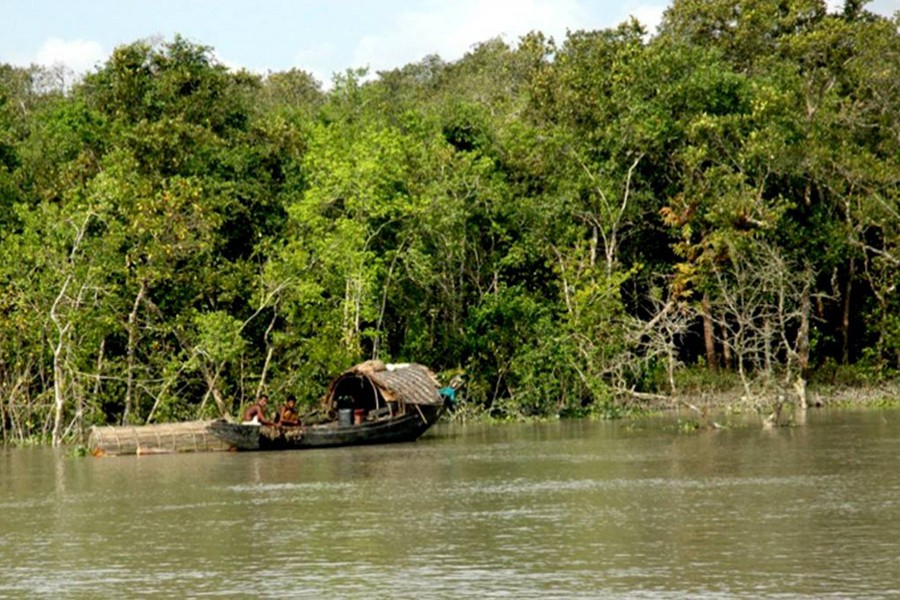 Sundarbans has Tk 188 billion carbon reserve: Survey