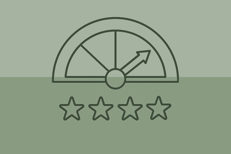 Eight credit ratings companies are in operation now