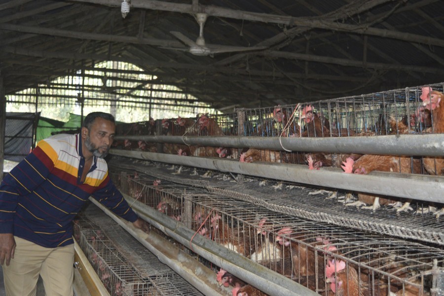 Poultry sector seeks AT, source tax rollback