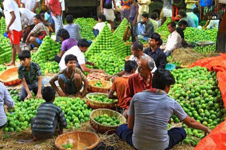 A view of a wholesale mango market in Rajshahi district	     — FE Photo