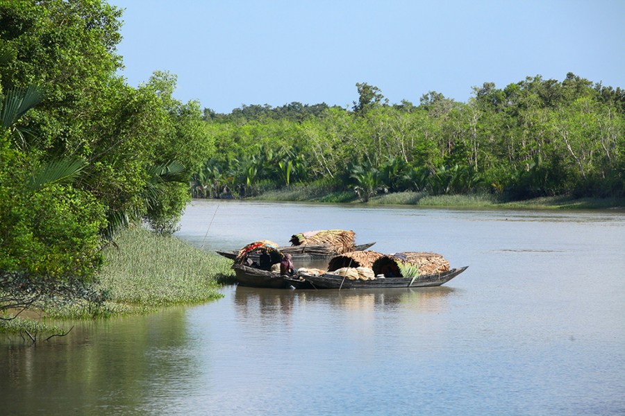 Fishing ban in Sundarbans hits fishermen