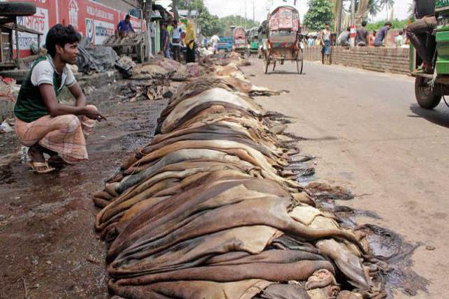 Govt to allow rawhide export to ensure fair price