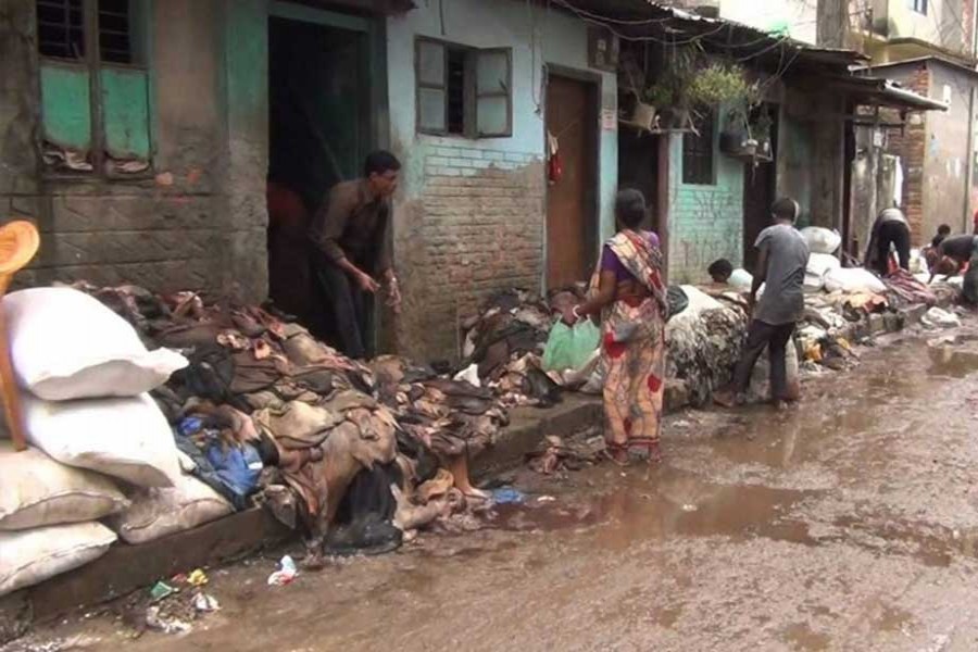 Tannery owners to start rawhide procurement soon