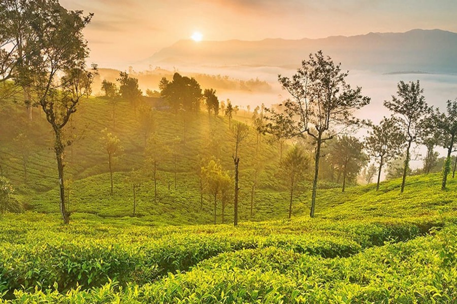 Ooty -Queen of South India