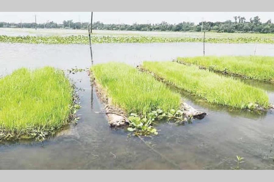 Floating seedbed for farmers   