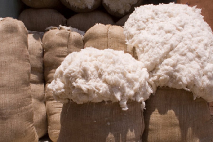Cotton import from USA: BD sticks to its decision on fumigation checks