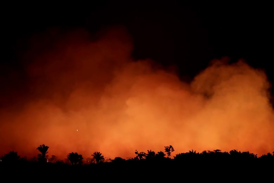 Charred trunks are seen on a tract of Amazon jungle that was recently burned by loggers and farmers in Porto Velho, Brazil August 23, 2019. REUTERS/Ueslei Marcelino