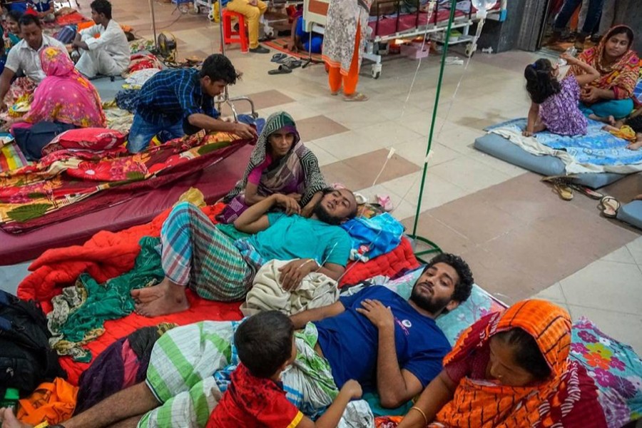 HC asks authorities to take more effective steps to control aedes