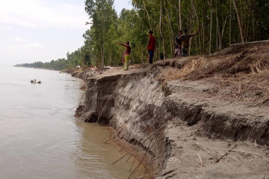 Brahmaputra devours over 100 homesteads in Kurigram 