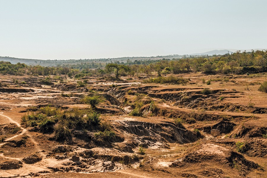 India to restore 26m hectares of degraded land by 2030: Modi