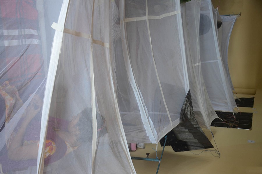 Woman dies from dengue in Khulna