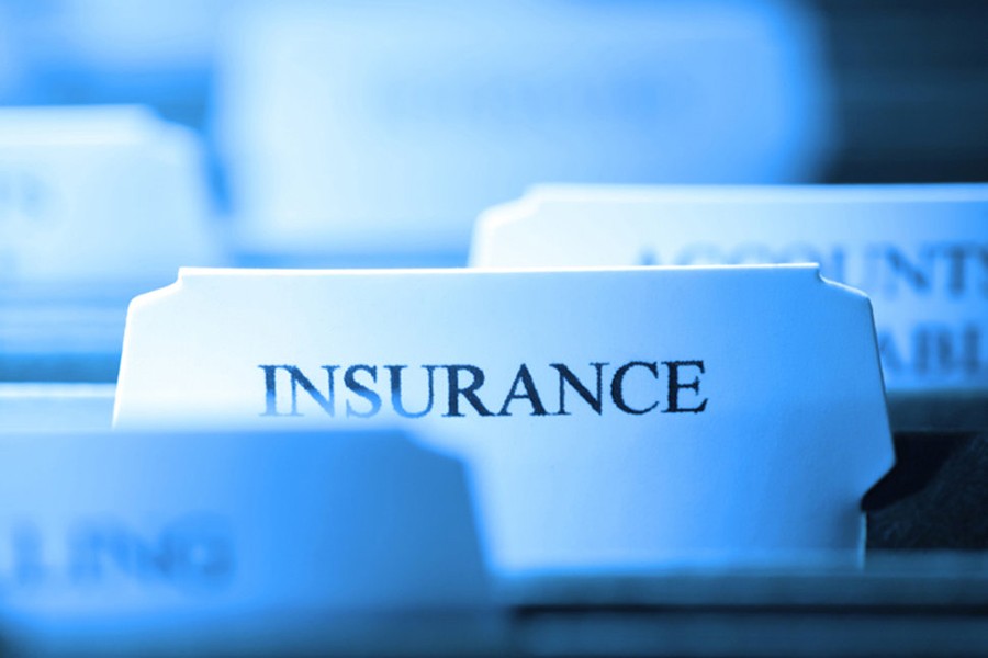 Local insurers to cover public sector imports