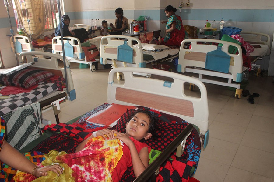 619 new dengue patients hospitalised in 24 hours