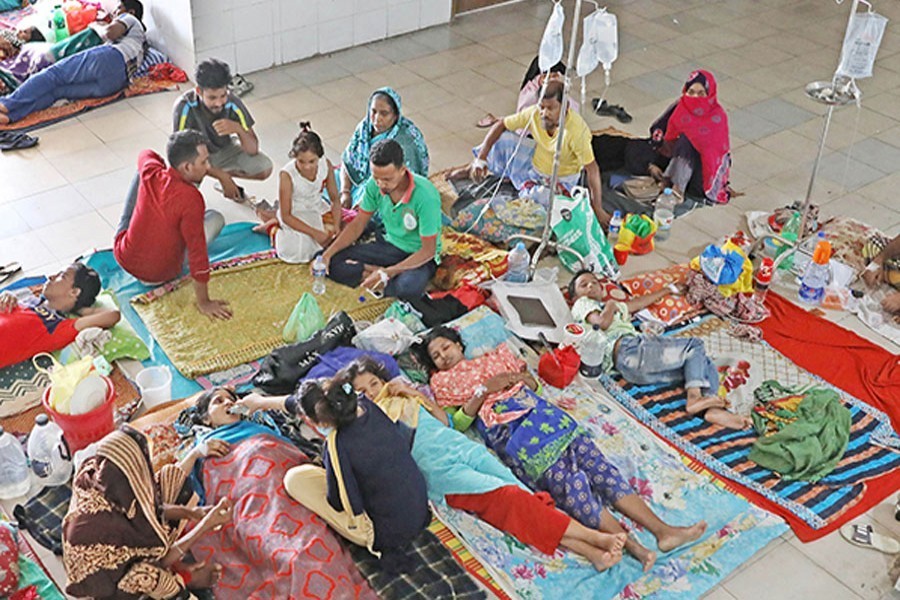 491 dengue patients admitted in last 24hrs
