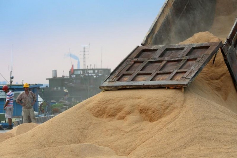 China’s August soy imports from US surge as cargoes clear customs