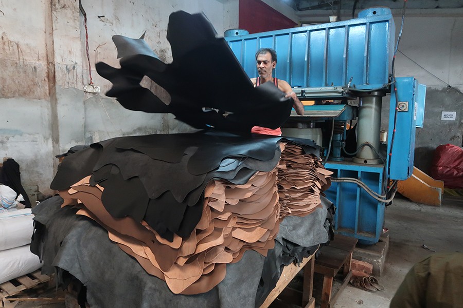 Tanners in tight corner