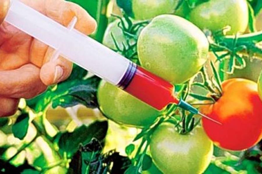 BFSA to widen dragnet as food adulteration persists