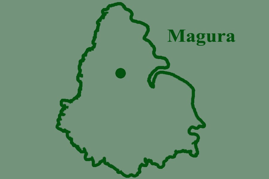 Farmer dies from dengue in Magura