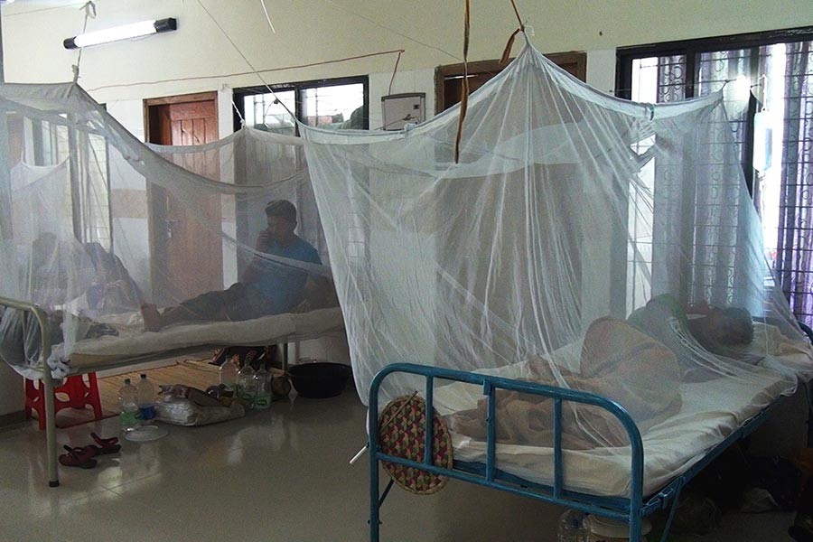326 new dengue patients hospitalised in 24 hours