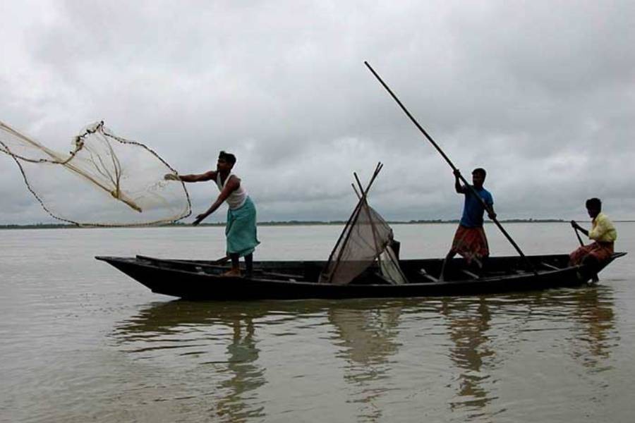 Rivers and water bodies as sources of protein