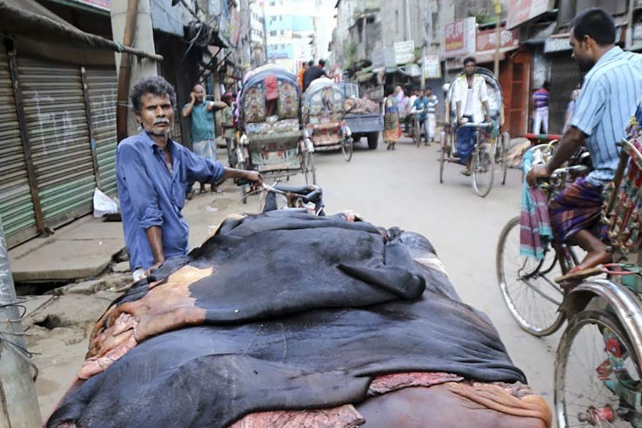 Govt plans fair rawhide prices from next Eid