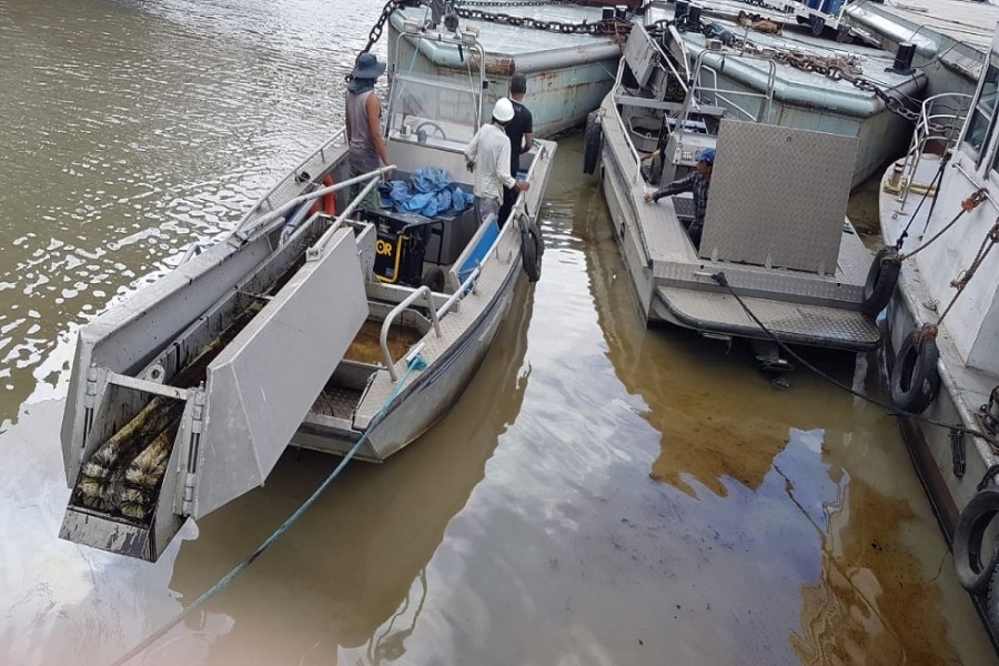 Huge oil spills over Karnaphuli, poses environmental threat