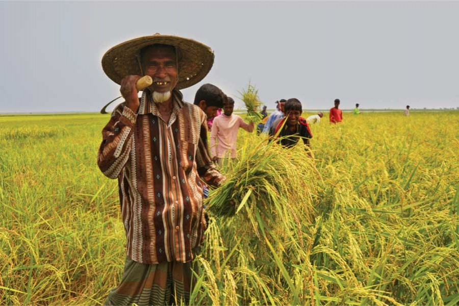 Farmers to get Tk 800m incentives