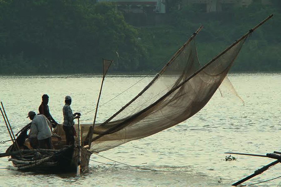 Ban on hilsa fishing: 307 jailed, fined in Manikganj