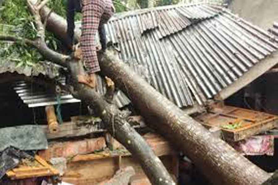 4,000-5,000 houses damaged  by cyclone ‘Bulbul’: Minister