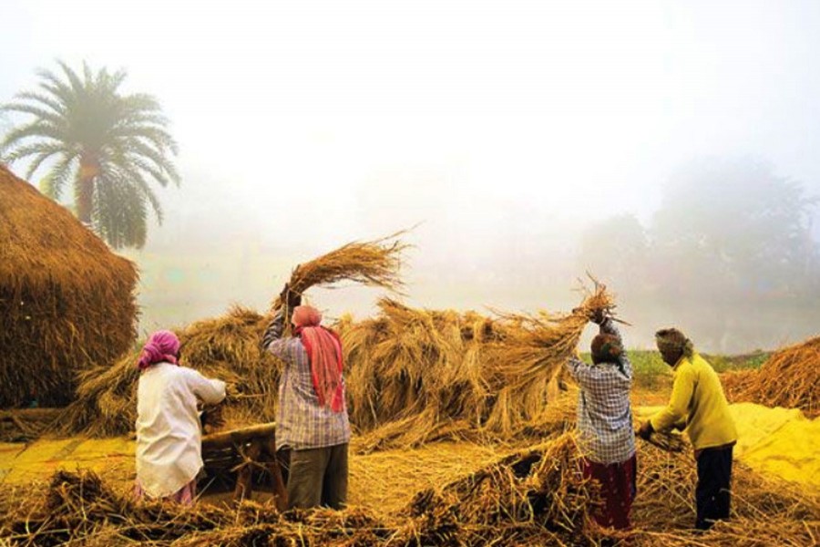 ‘Nabanna Utsab’ being celebrated amid festivity