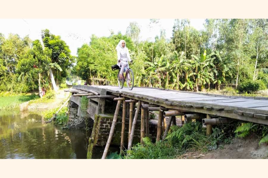 A girl crossing the Shoti river using the risky bamboo bridge by bicycle at Mohishamuri Dharapar village in Kaliganj upazila of Lalmonirhat 	— UNB Photo