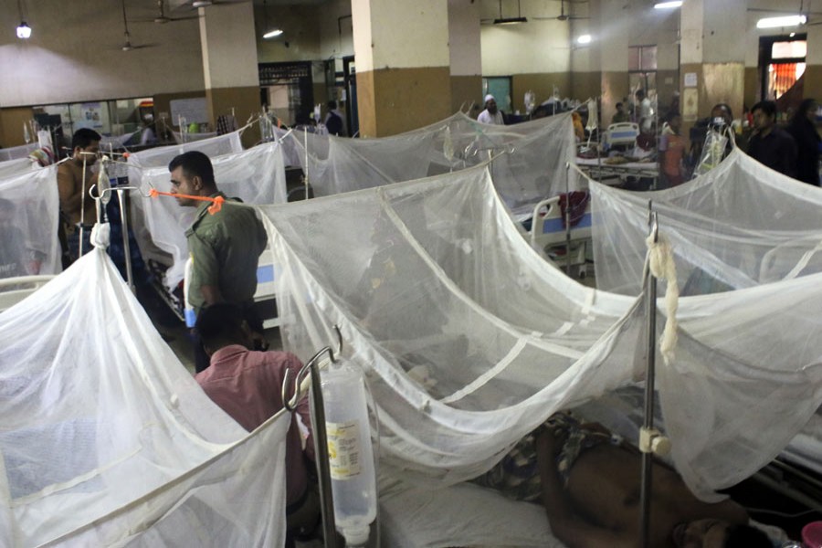 Over 0.1m dengue patients hospitalised in 11 months