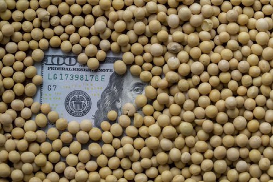 China suspends planned additional tariffs on some US products