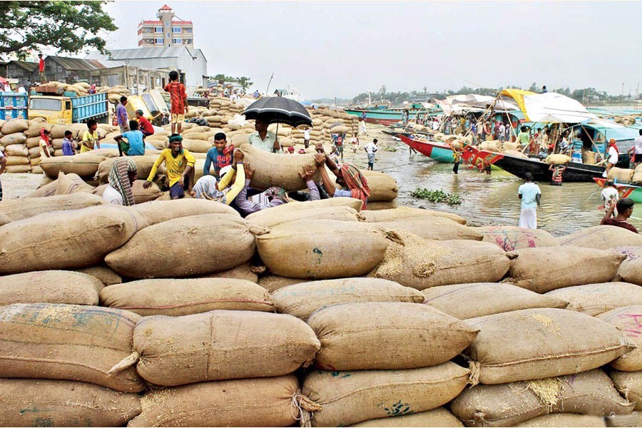 Paddy prices fall sharply despite govt purchase
