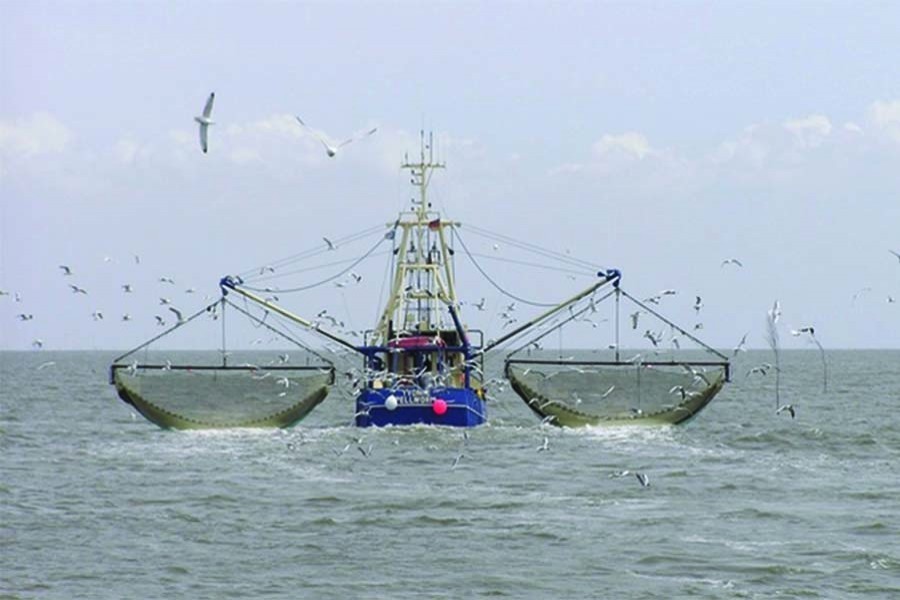 Opportunities galore in ocean economy   