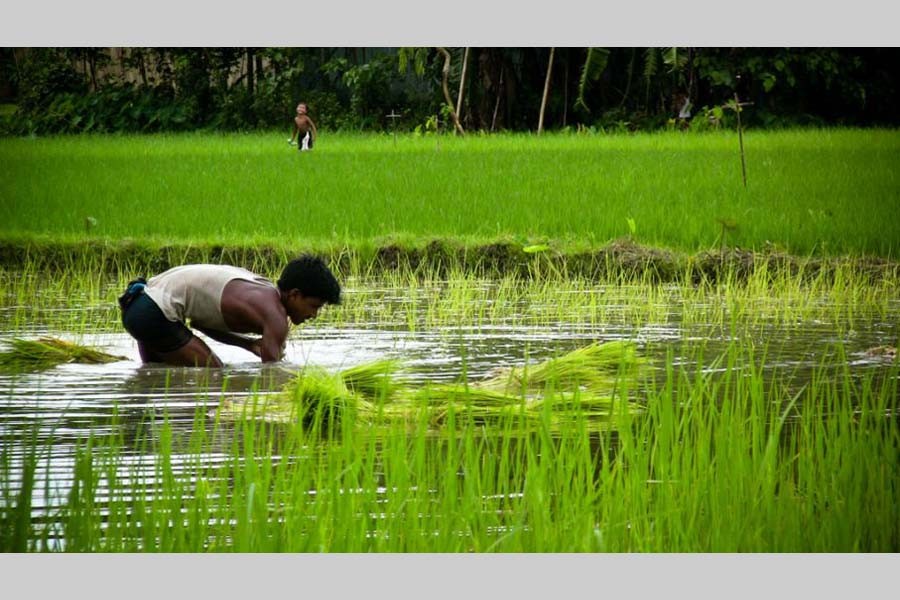 Changing world and small farms   