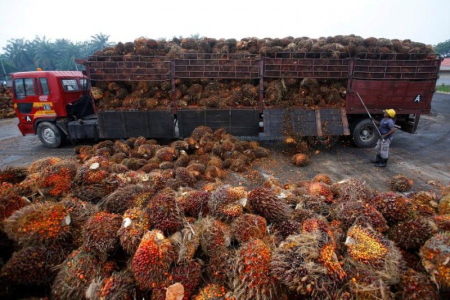 India urges boycott of Malaysian palm oil after diplomatic row