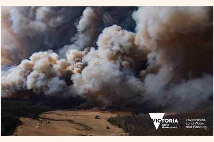 Australia's wildfires part of a vicious cycle of food & fire