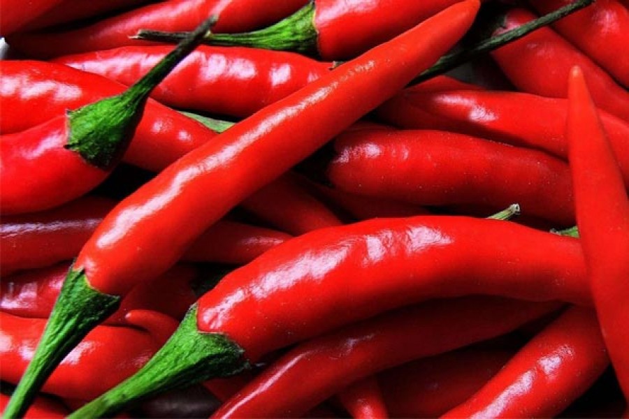 Red chillies hotter